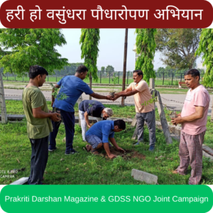 Tree Plantation Campaign
