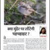 क्या मुंडेर पर लौटेगी की चहचहाहट