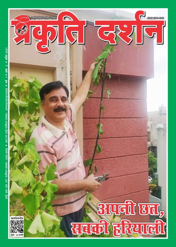 अपनी छत, सबकी हरियाली
