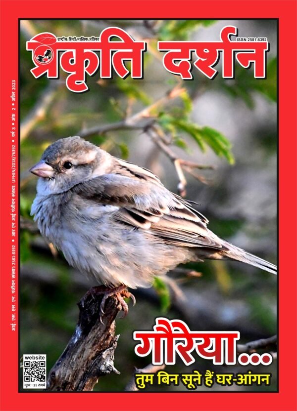 गौरेया