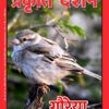गौरेया
