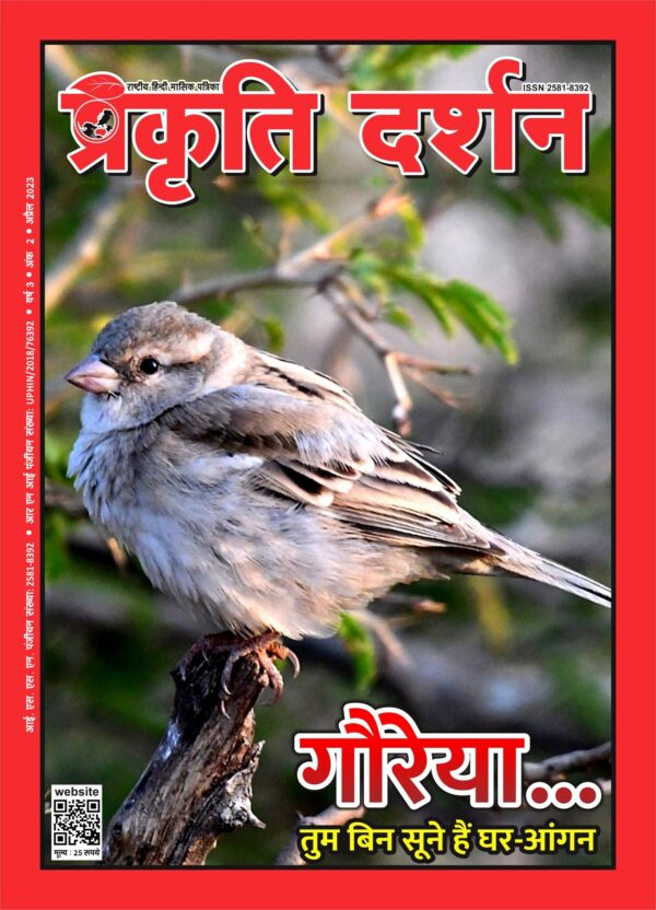 गौरेया