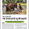 एक अनाथ हाथी रघु की कहानी