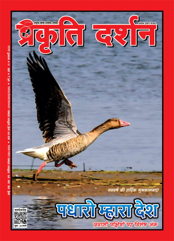 पधारो म्हारा देश