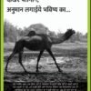 ग्रेट क्लिक