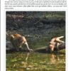 केवल धरा हीं नहीं सूखती, उम्मीद भी सूखती है