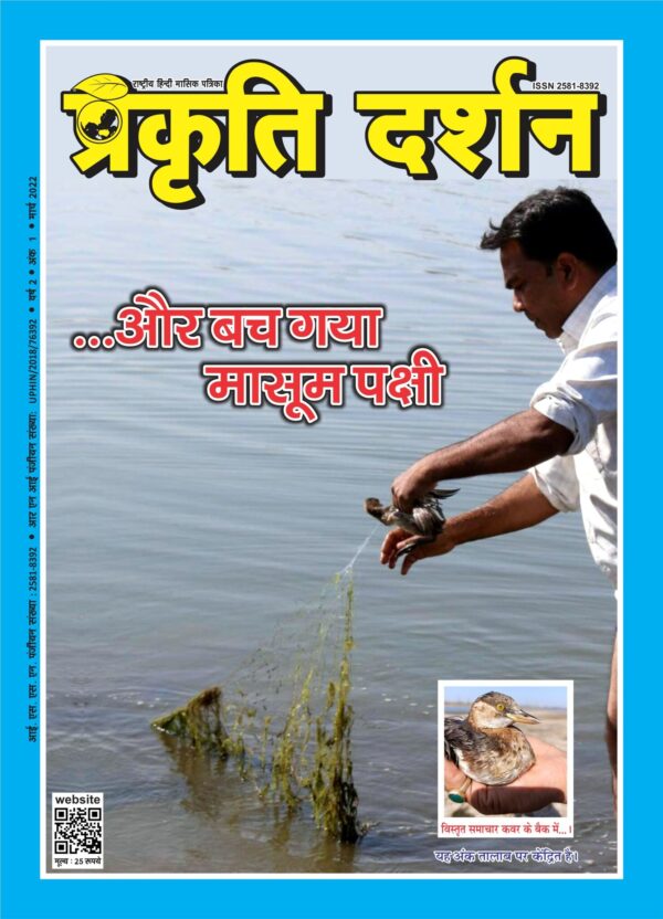 ...और बच गया मासूम पक्षी