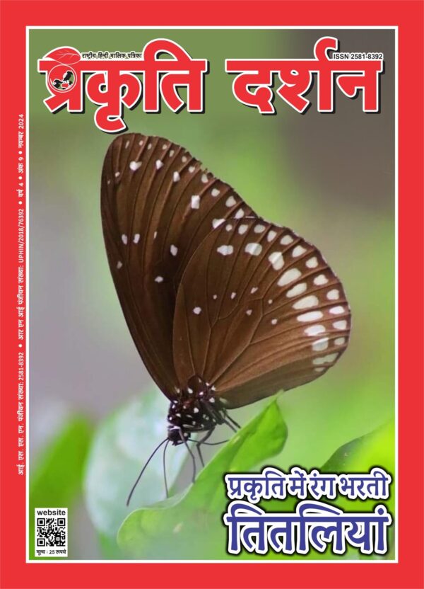 प्रकृति में रंग भरती तितलियां