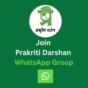 WhatsApp Group