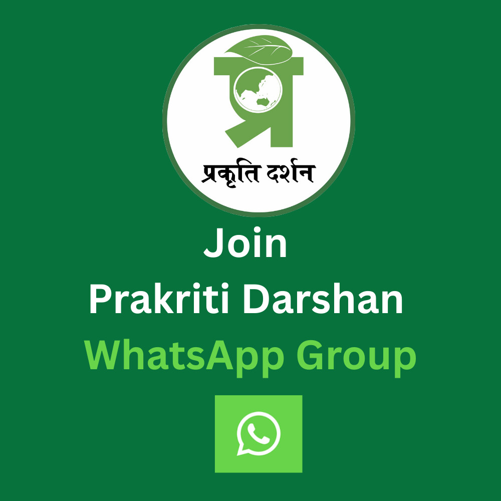 WhatsApp Group