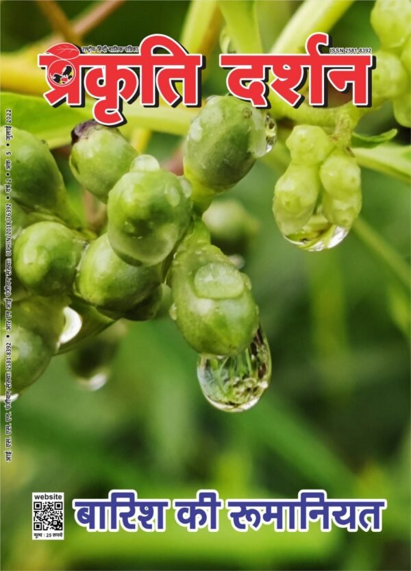 बारिश की रूमानियत