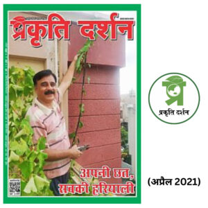 टैरेस गार्डनिंग विशेषांक