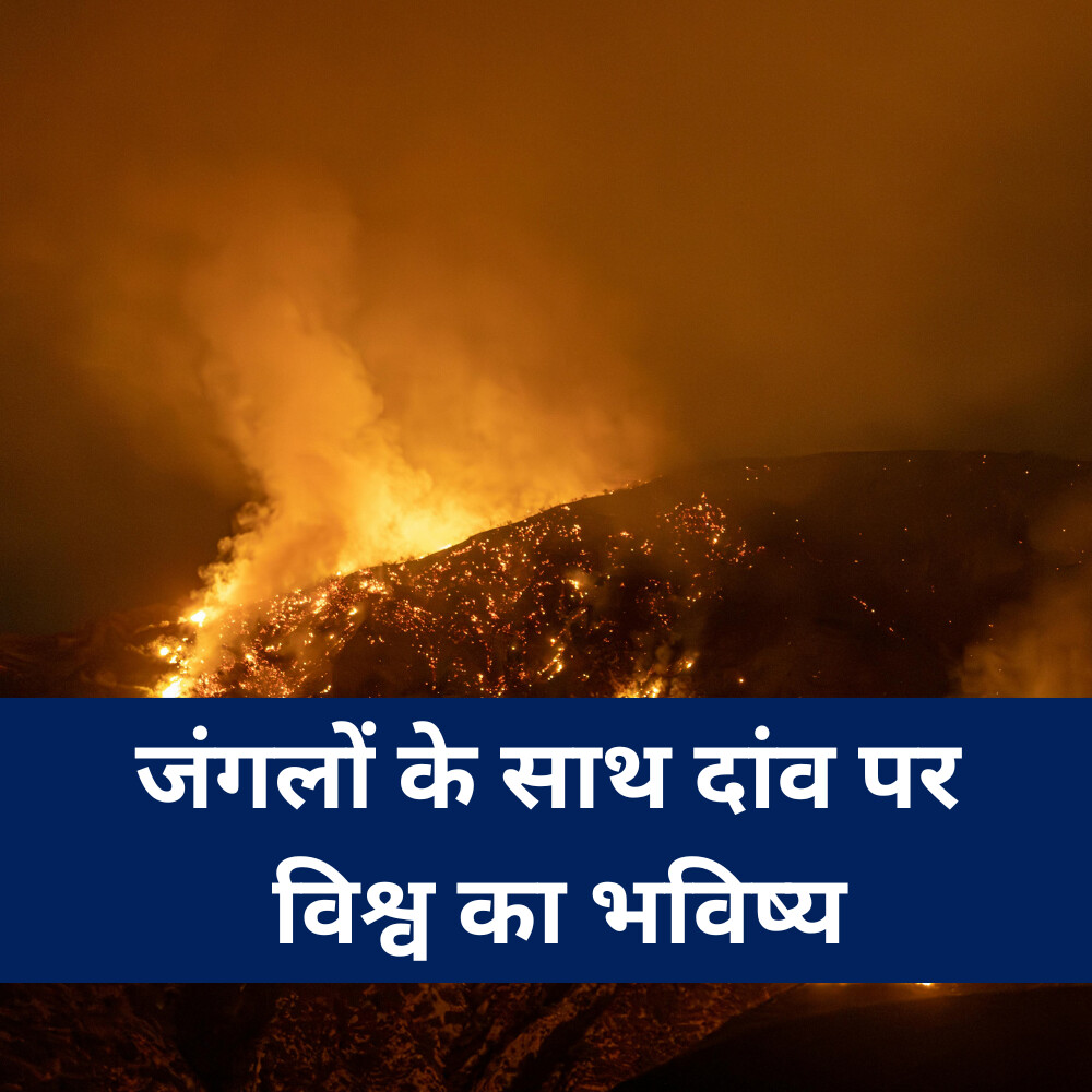 जंगलों के साथ दांव पर विश्व का भविष्य