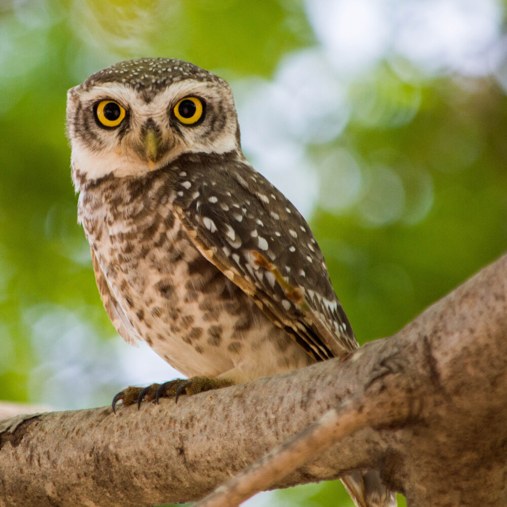 Nature & Wildlife