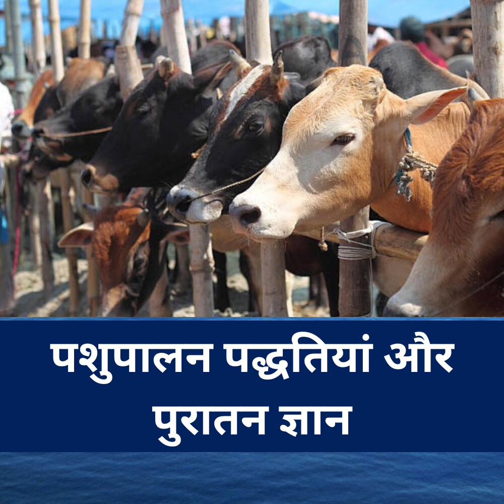 पशुपालन पद्धतियां और पुरातन ज्ञान