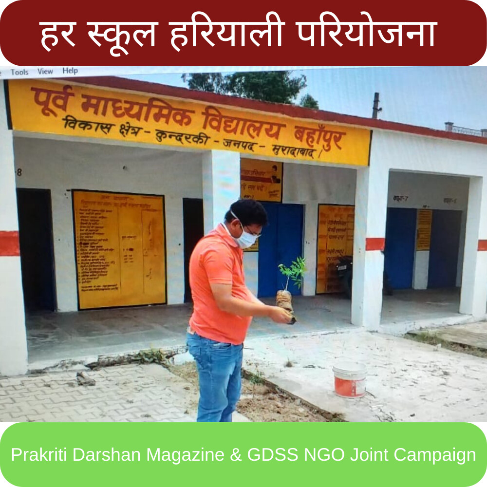 हर स्कूल हरियाली परियोजना