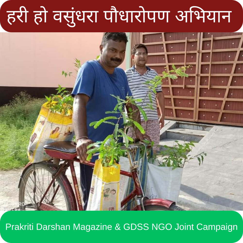 Tree Plantation Campaign