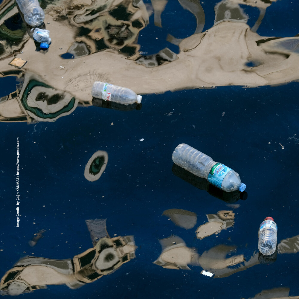 Water Pollution