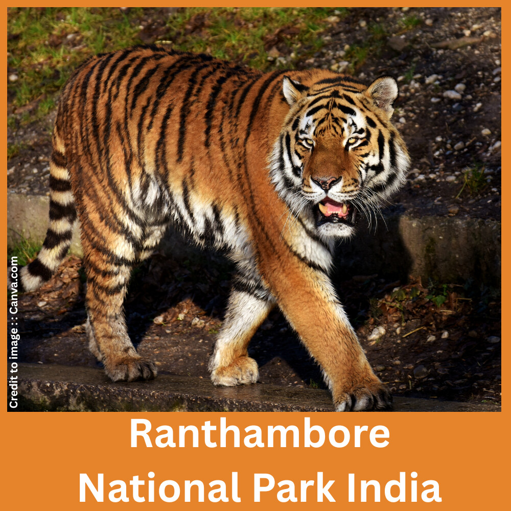 Ranthambore National Park India-Prakriti Darshan- Nature and Environment Magazine