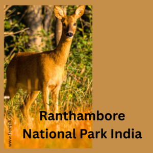 Ranthambore National Park India