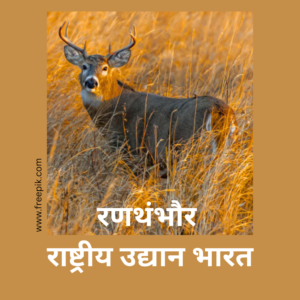 Ranthambore National Park