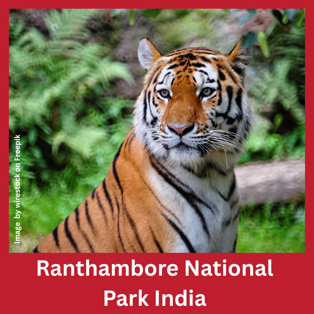 Ranthambore National Park India