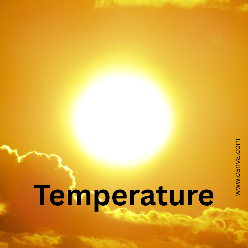 Temperature Guide: Weather Today