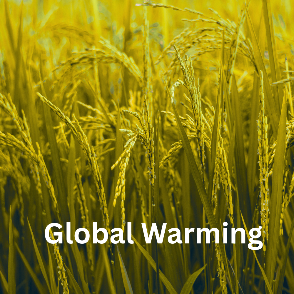Global Warming Effects