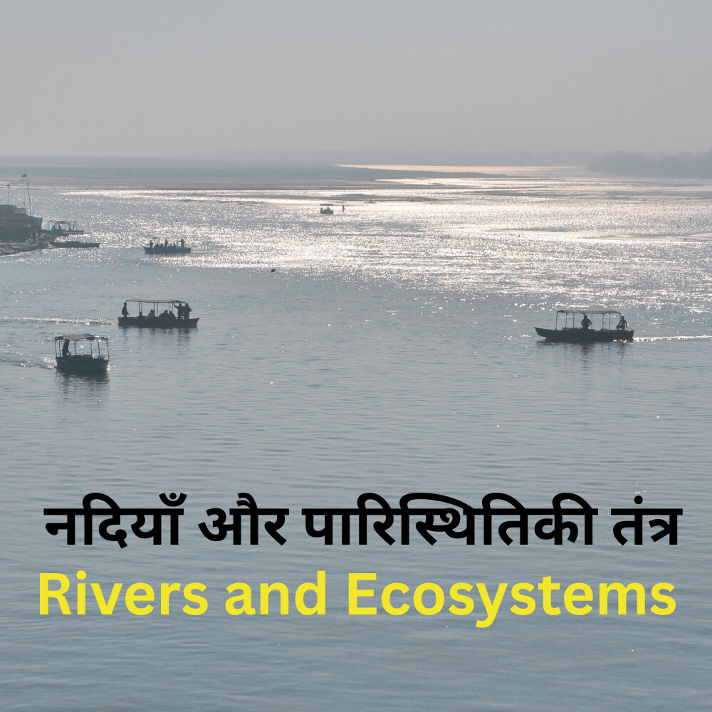 Rivers नदियाँ