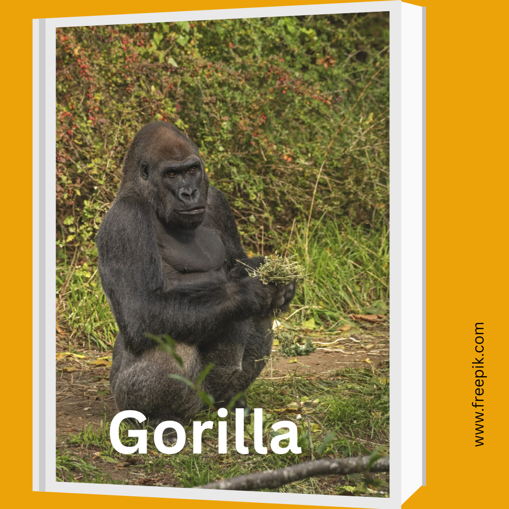 Gorilla Conservation