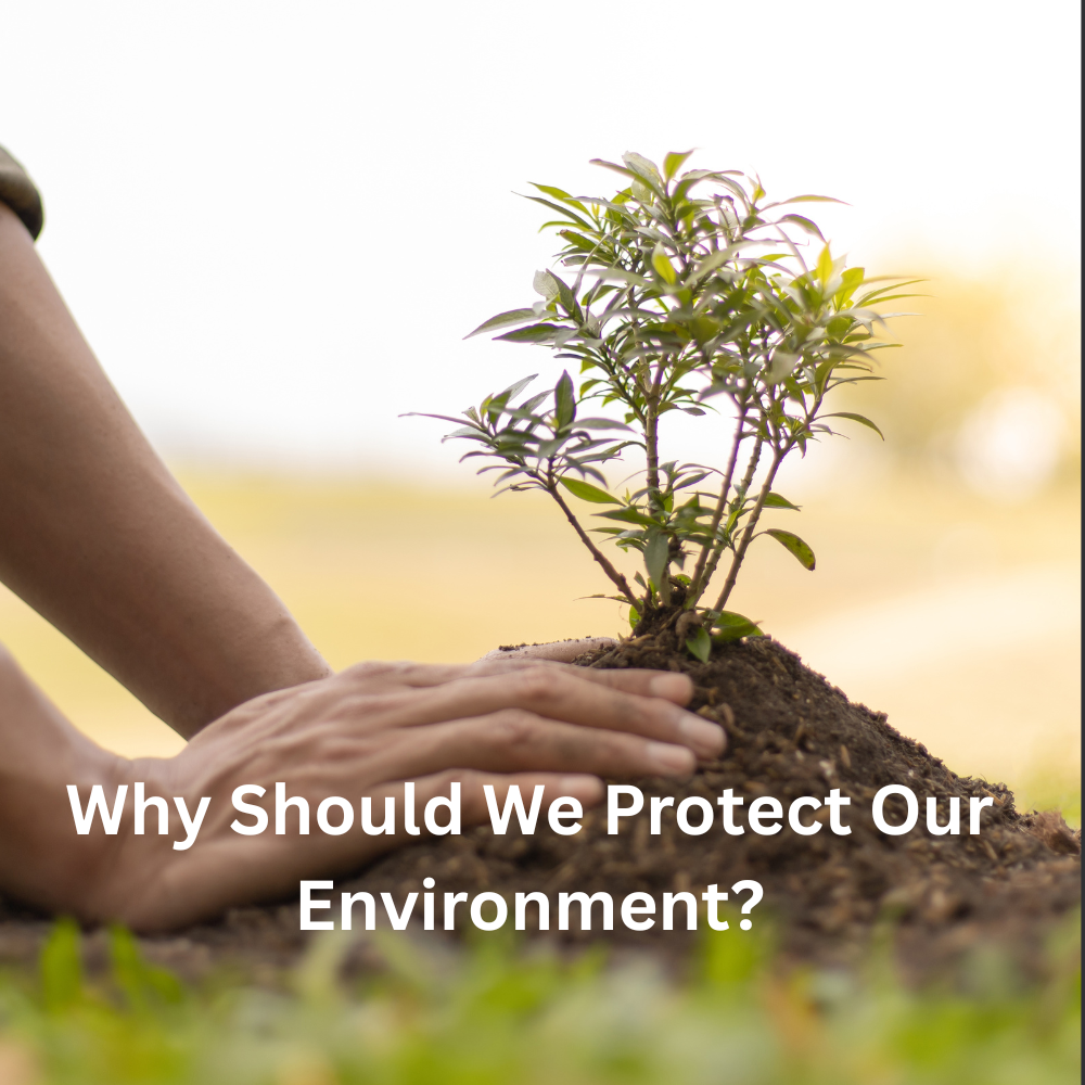 Protect our environment