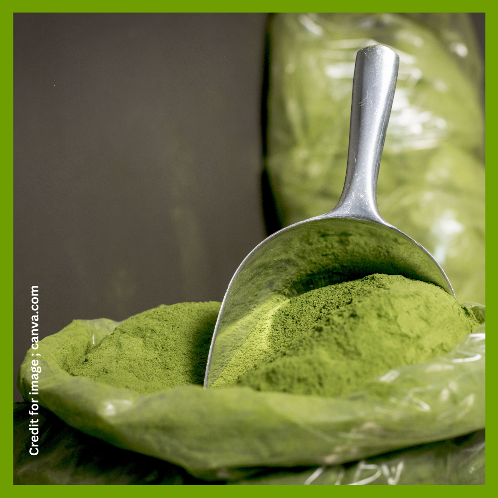Nature Gift Moringa Health Benefits -Prakriti Darshan Nature and Environment Magazine