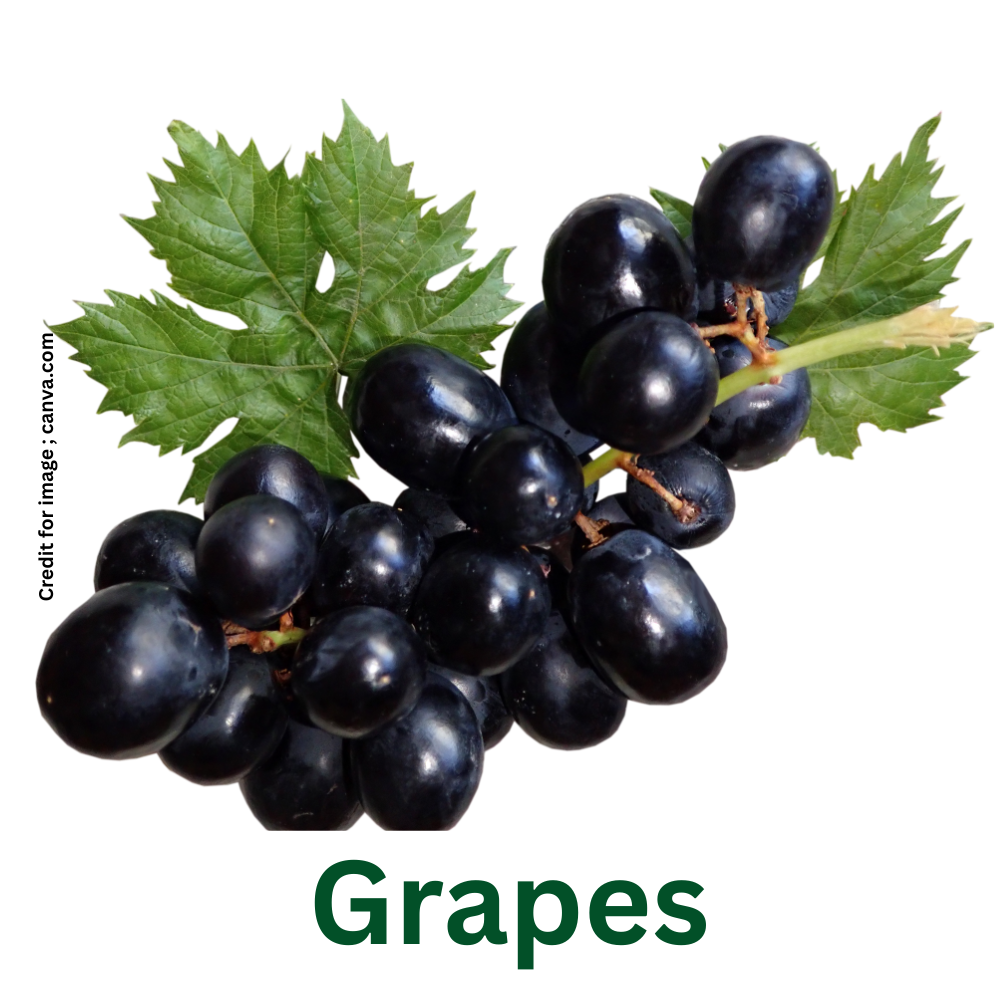 Vegetables- Fruits Support Cancer Prevention-Prakriti Darshan Nature and Environment Magazine