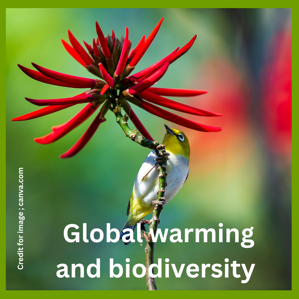 Global warming and biodiversity