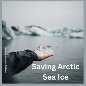 Saving Arctic Sea Ice