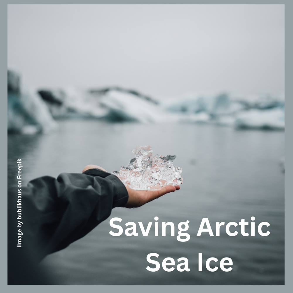 Saving Arctic Sea Ice