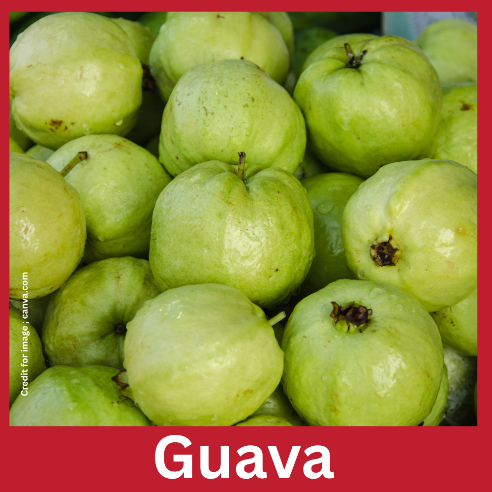 Guava Diabetes Pregnancy Relation