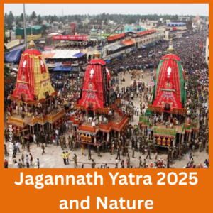 Jagannath Yatra 2025 and Nature