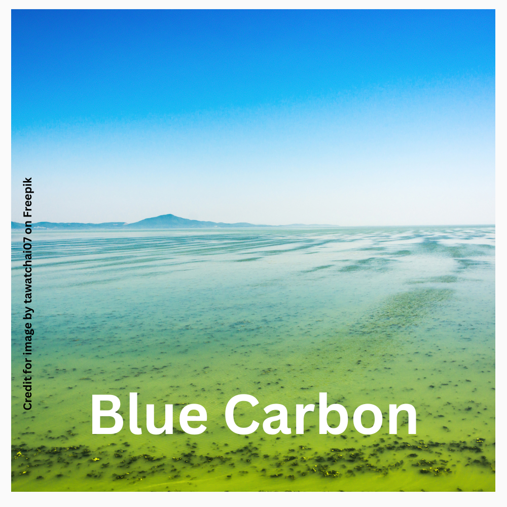 Blue Carbon