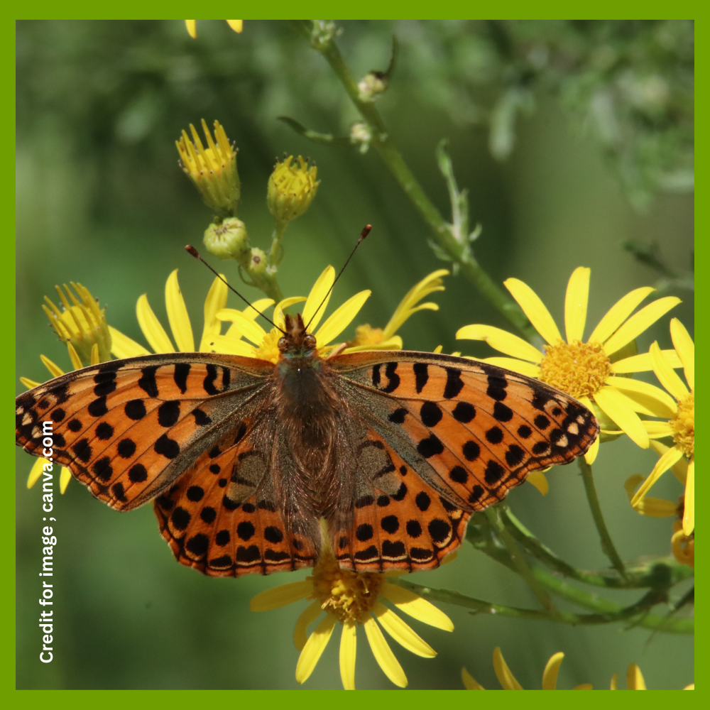 Global warming and biodiversity- Prakriti Darshan Nature and Environment Magazine