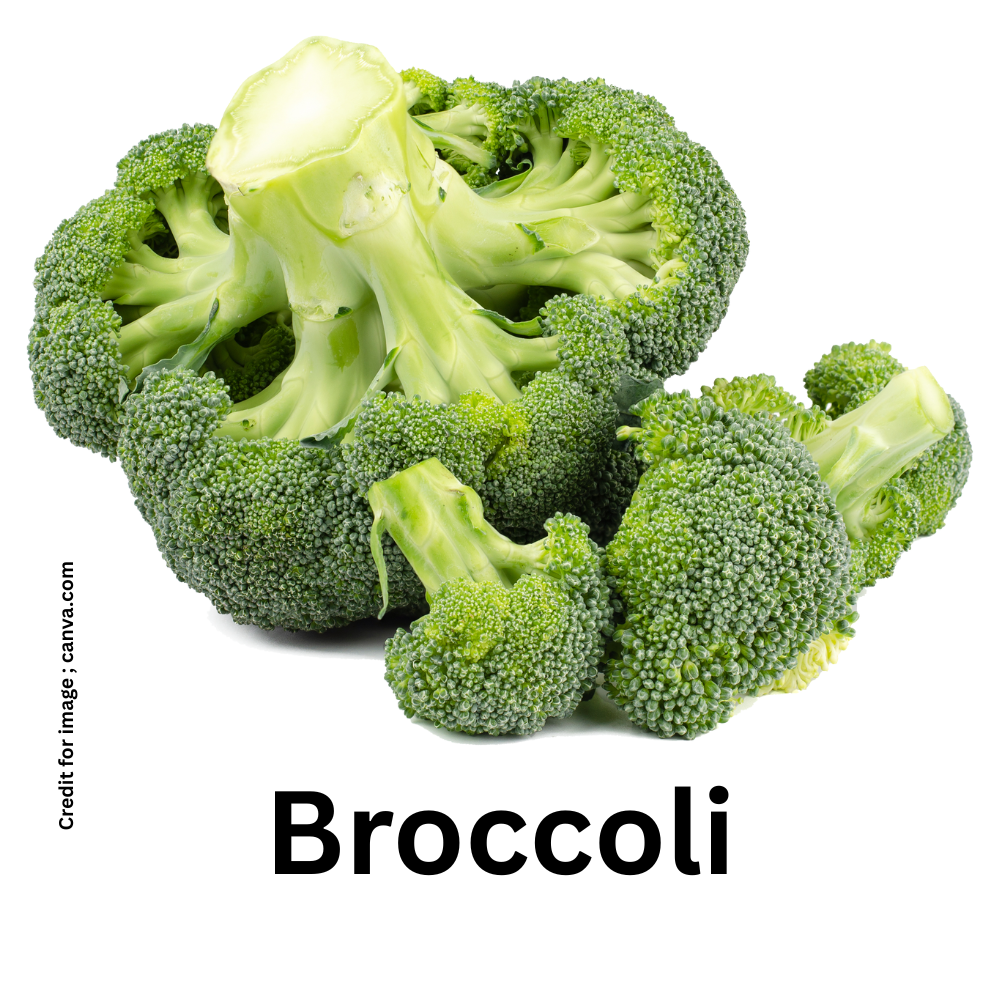 Vegetables Support Cancer Prevention-Prakriti Darshan Nature and Environment Magazine