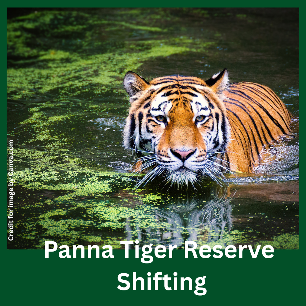 Panna Tiger Reserve Shifting-Prakriti Darshan Nature and Environment Magazine