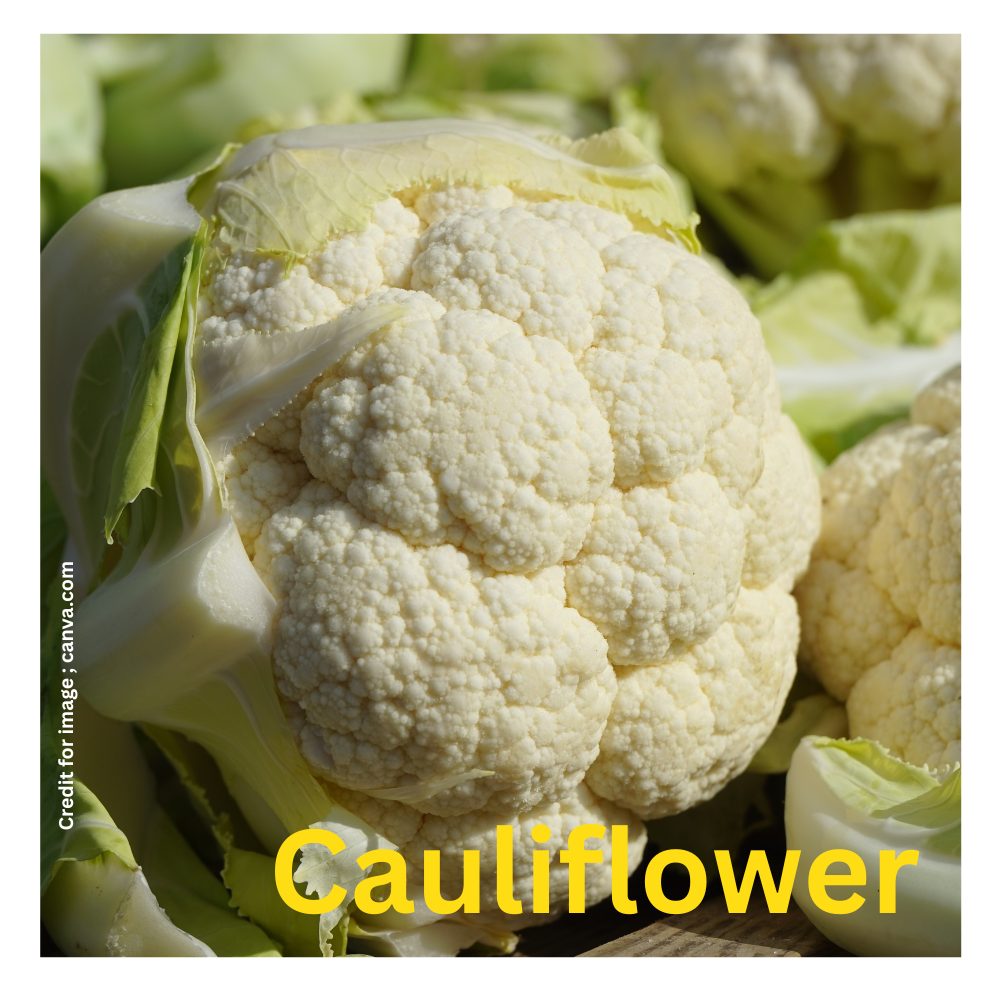 Vegetables Support Cancer Prevention-Prakriti Darshan Nature and Environment Magazine