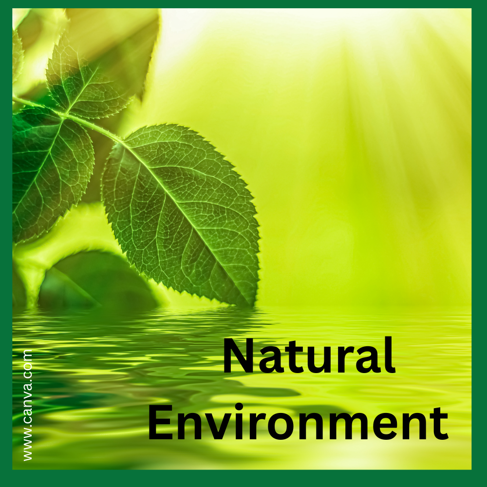 Natural Environment