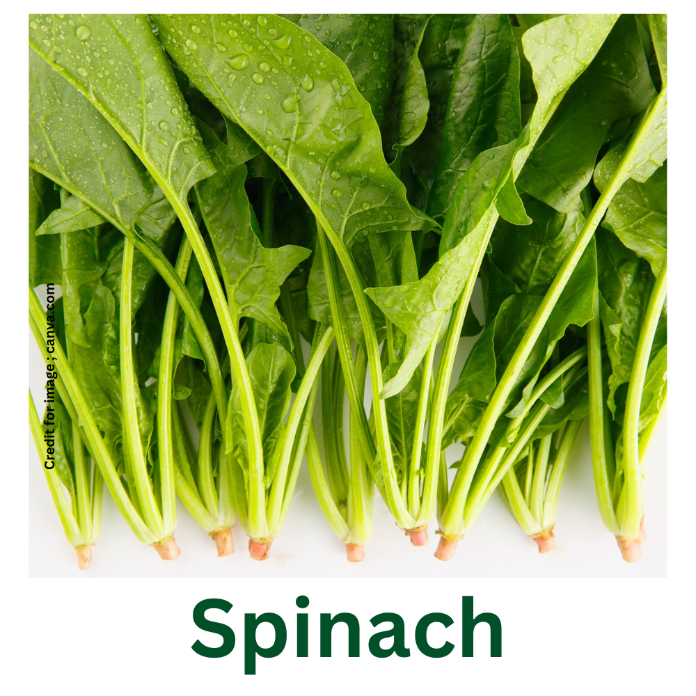 Vegetables Support Cancer Prevention-Prakriti Darshan Nature and Environment Magazine