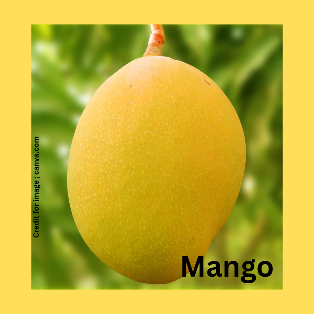 Indian Mango Varieties 2025-Prakriti Darshan Nature and Environment Magazine