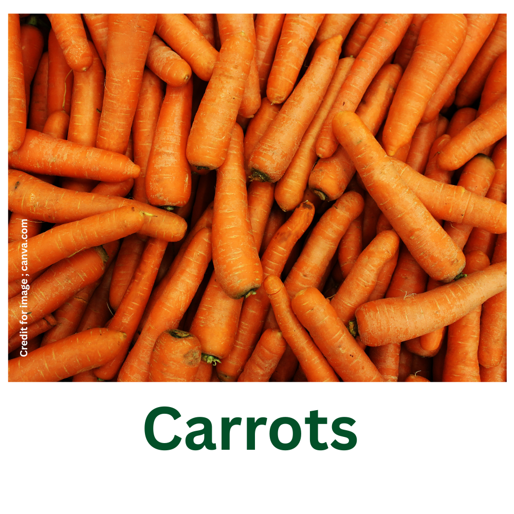 Vegetables Support Cancer Prevention-Prakriti Darshan Nature and Environment Magazine