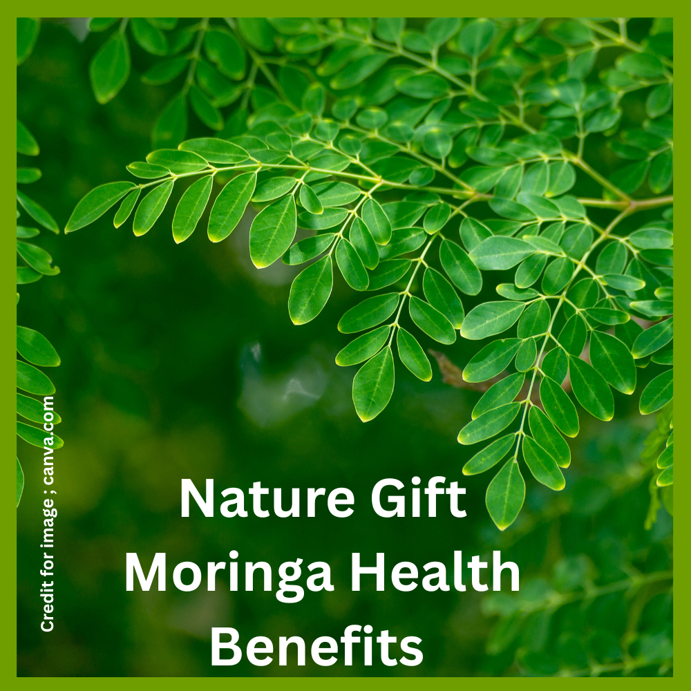 Nature Gift Moringa Health Benefits