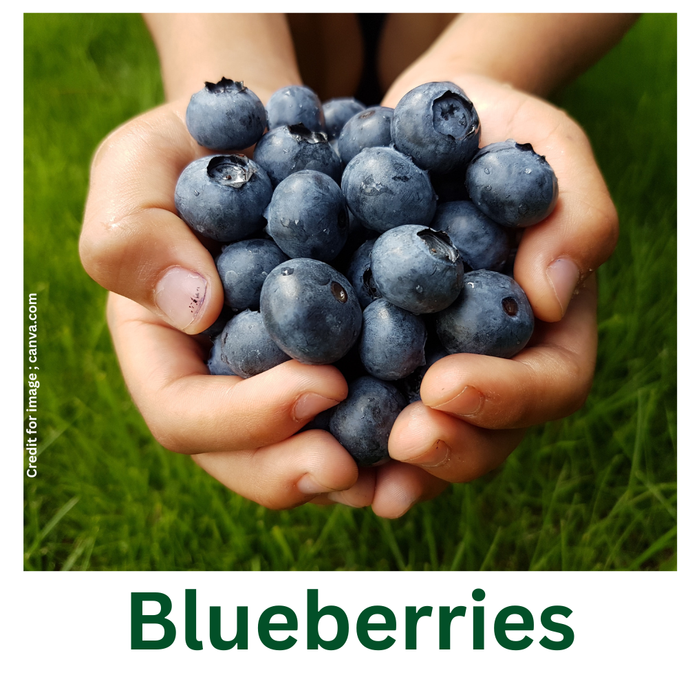 Vegetables- Fruits Support Cancer Prevention-Prakriti Darshan Nature and Environment Magazine