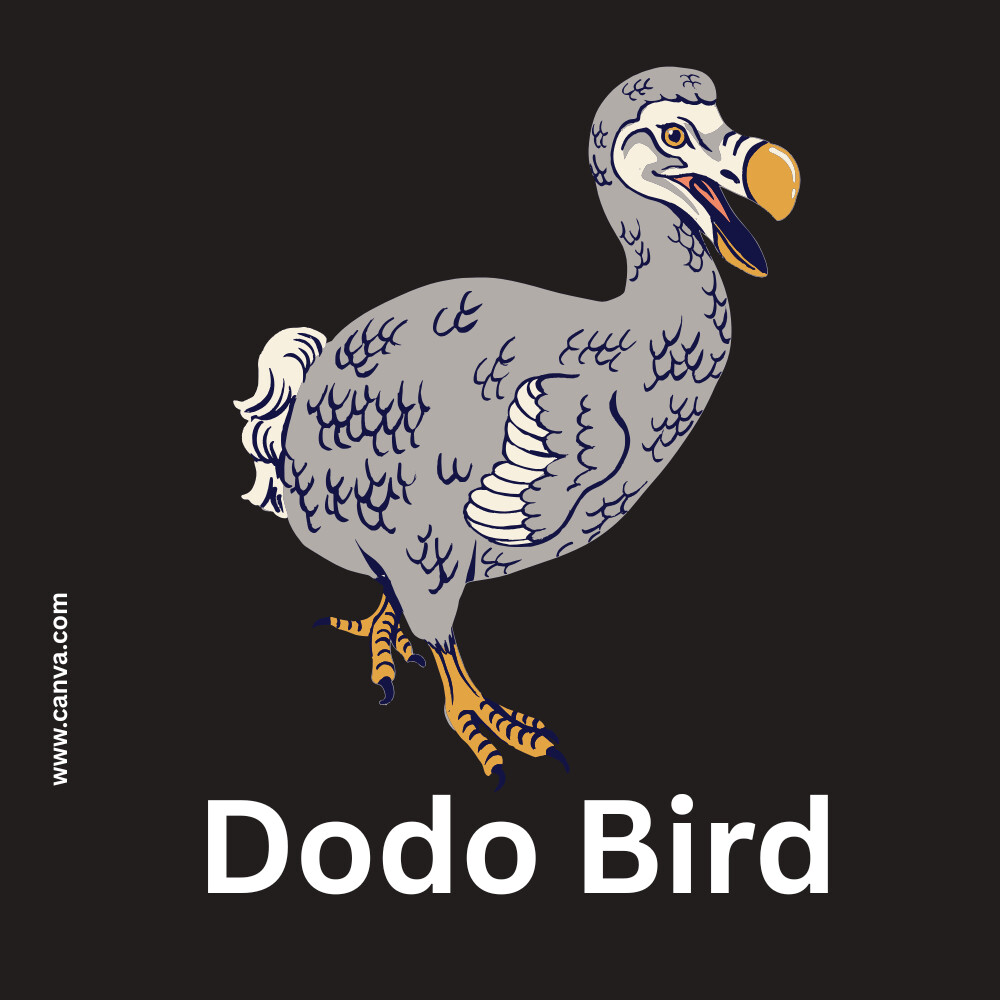Dodo Bird